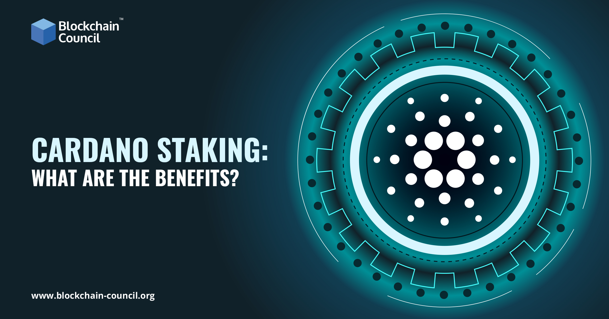 Cardano Staking: What are the benefits?