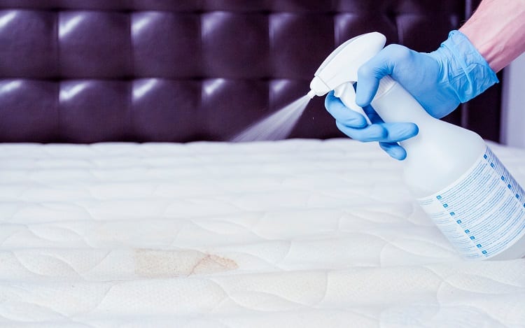 mattress steam cleaning