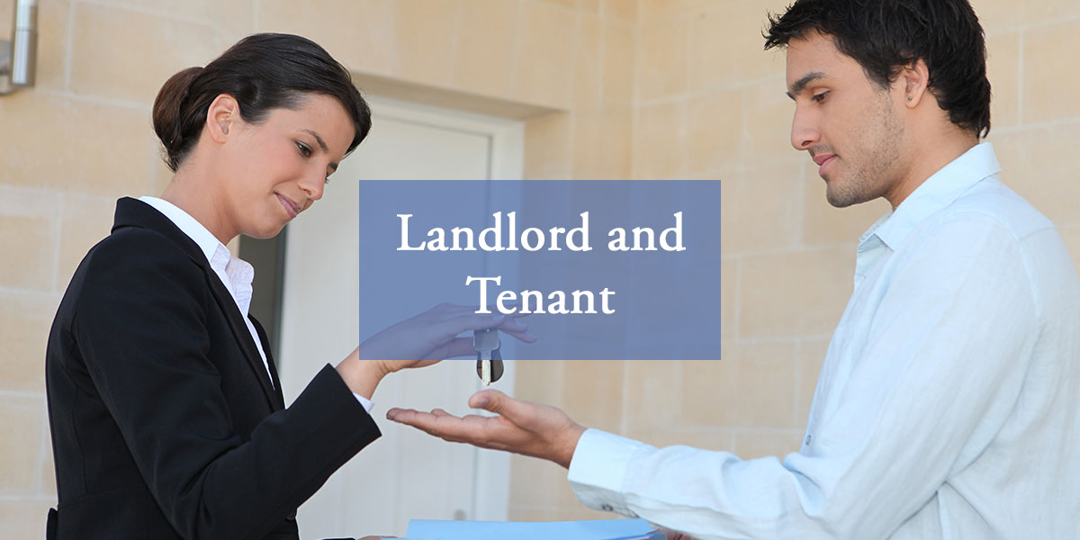 Rental Tips for Landlords and House Tenants