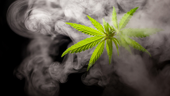 9 Ways to Mask the Weed Smell When Smoking Marijuana